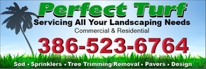 Perfect Turf Home Improvement, Repair, & Maintenance